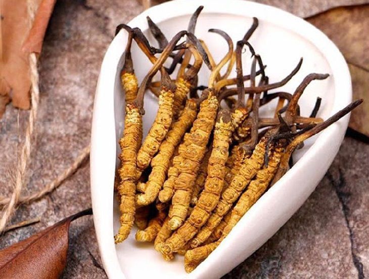 Đông Trùng Hạ Thảo Tiểu Đường: Bí Quyết Vui Tết Khỏe Mạnh
