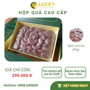 Nấm Linh Chi đỏ sấy khô 250gr | Luckylifecare