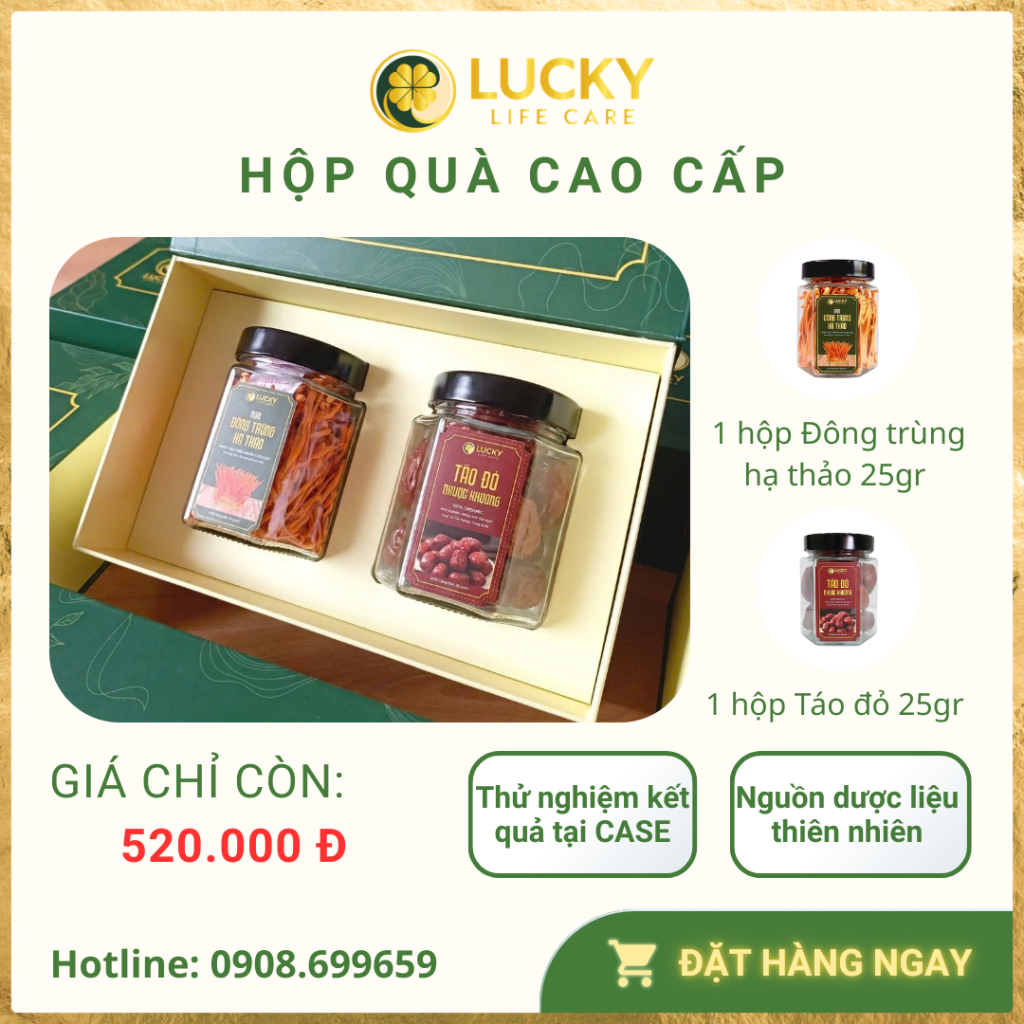 Hộp quà Cao cấp Nấm Đông Trùng Hạ Thảo & Táo Đỏ dược tính |LLC