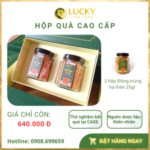 Hộp quà Cao cấp Nấm Đông Trùng Hạ Thảo dược tính cao | LLC
