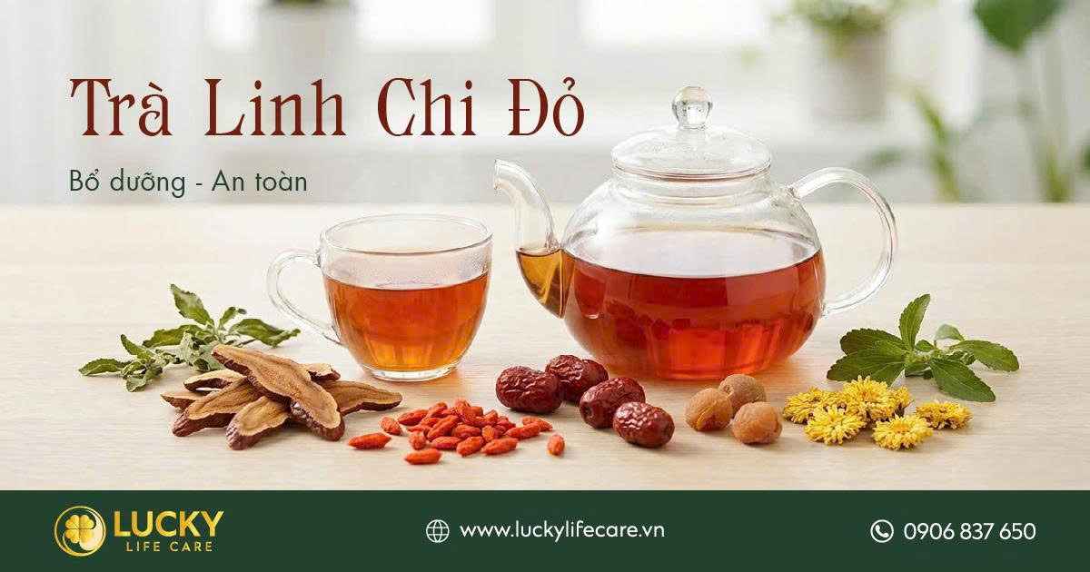 Xem tất cả sản phẩm